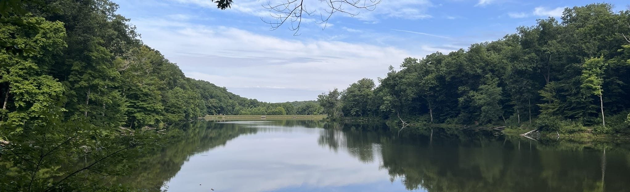 Brown County State Park Trail 4 - EyJidWNrZXQiOiJhc3NldHMuYWxsdHJhaWxzLmNvbSIsImtleSI6InVwbG9hZHMvcGhvdG8vaW1hZ2UvNTA5NTk0OTcvMjg2MTA0MDgxYWRmZGU5NmM1NTQxMzE2NWU4MzgxMTEuanBnIiwiZWRpdHMiOnsidG9Gb3JtYXQiOiJqcGVnIiwicmVzaXplIjp7IndpZHRoIjoyMDQ0LCJoZWlnaHQiOjYyNCwiZml0IjoiY292ZXIifSwicm90YXRlIjpudWxsLCJqcGVnIjp7InRyZWxsaXNRdWFudGlzYXRpb24iOnRydWUsIm92ZXJzaG9vdERlcmluZ2luZyI6dHJ1ZSwib3B0aW1pc2VTY2FucyI6dHJ1ZSwicXVhbnRpc2F0aW9uVGFibGUiOjN9fX0=