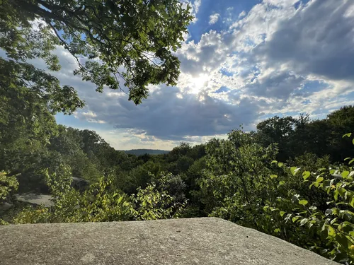 Best Forest Trails in Lake Mohegan AllTrails