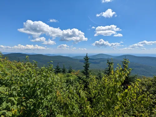 2023 Best Views Trails in Grahamsville | AllTrails