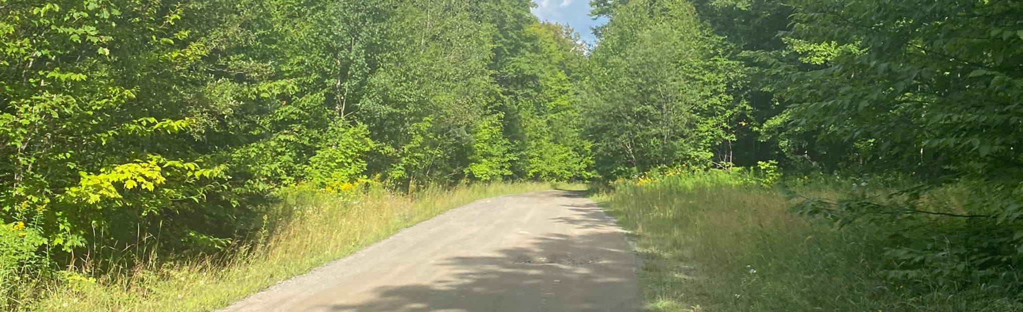 Mount Arvon Michigan Highpoint 71 Reviews, Map Michigan AllTrails