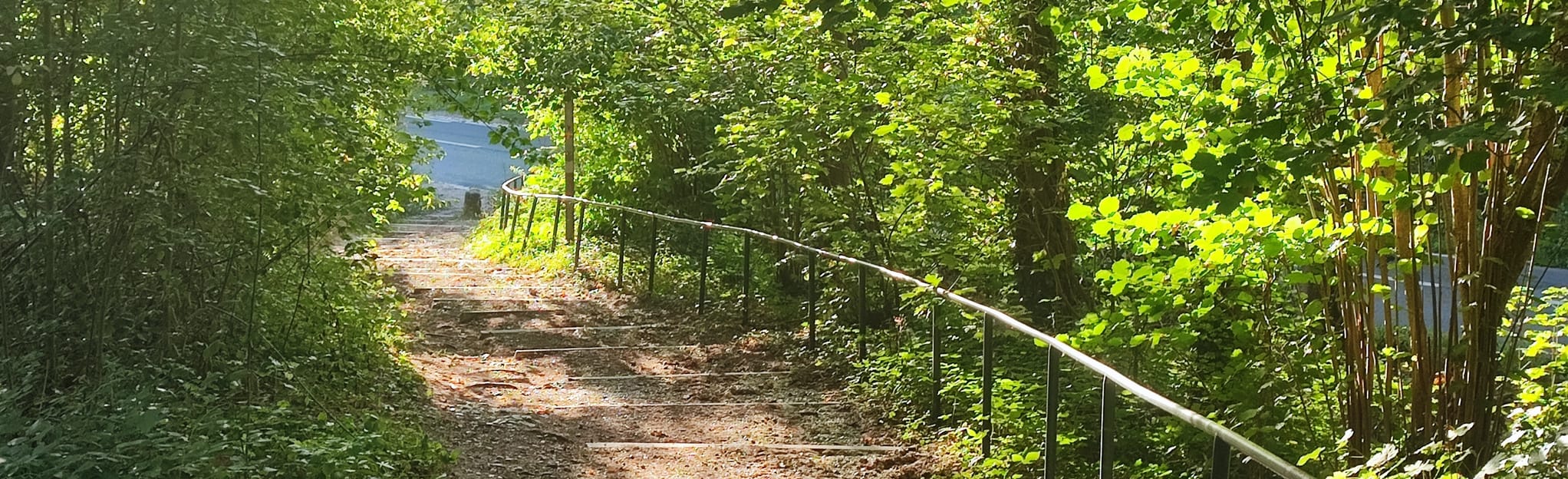 Circuit en Forêt de SaintGermainenLaye, Yvelines, France 12 Reviews, Map AllTrails