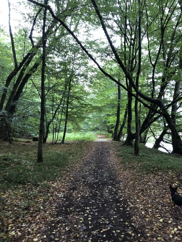 Tour 9: Flusswanderung