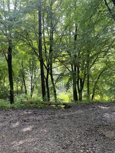 Durchs Muttental ab Rauendahl