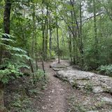 cane ridge mountain bike trail