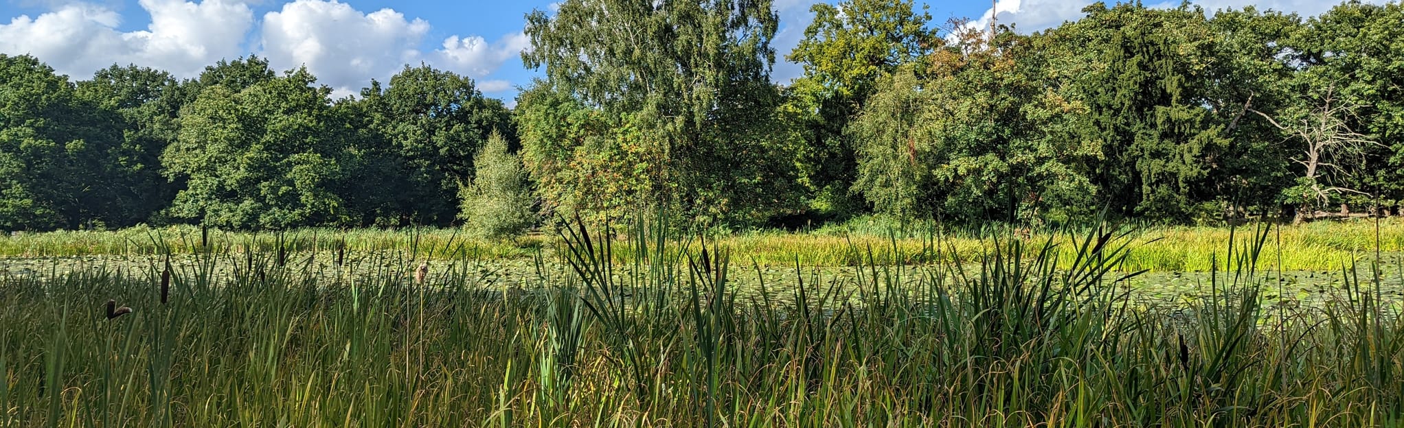 Dunham Park Circular, Greater Manchester, England 88 Reviews, Map