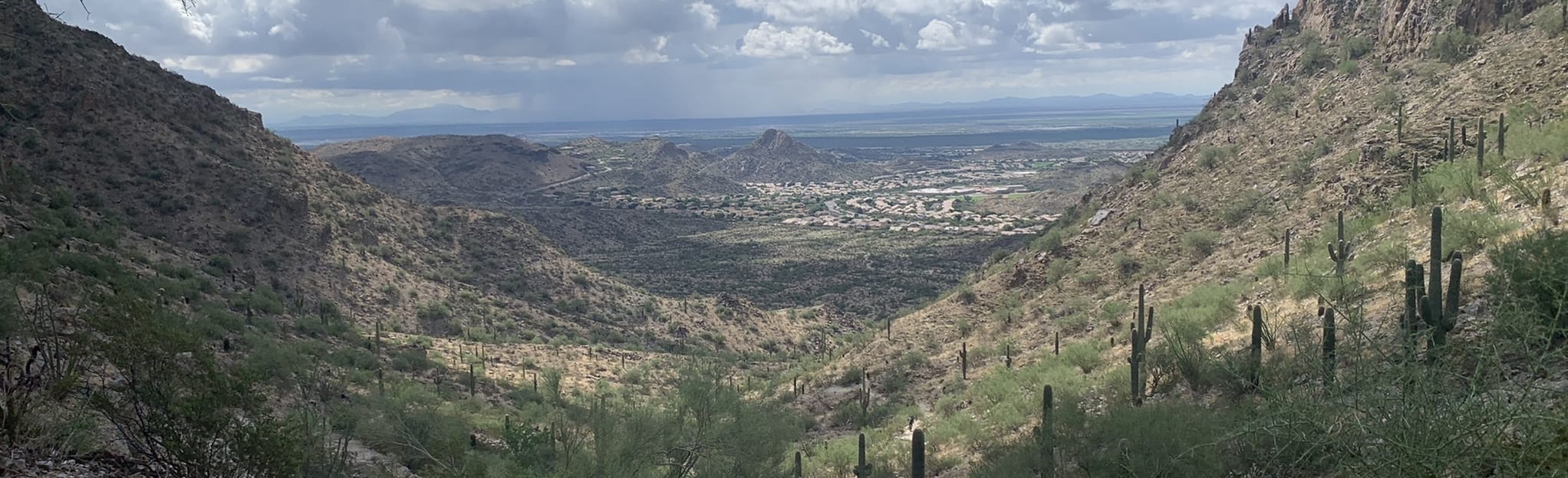 Telegraph Pass Trail 4299 Reviews, Map Arizona AllTrails