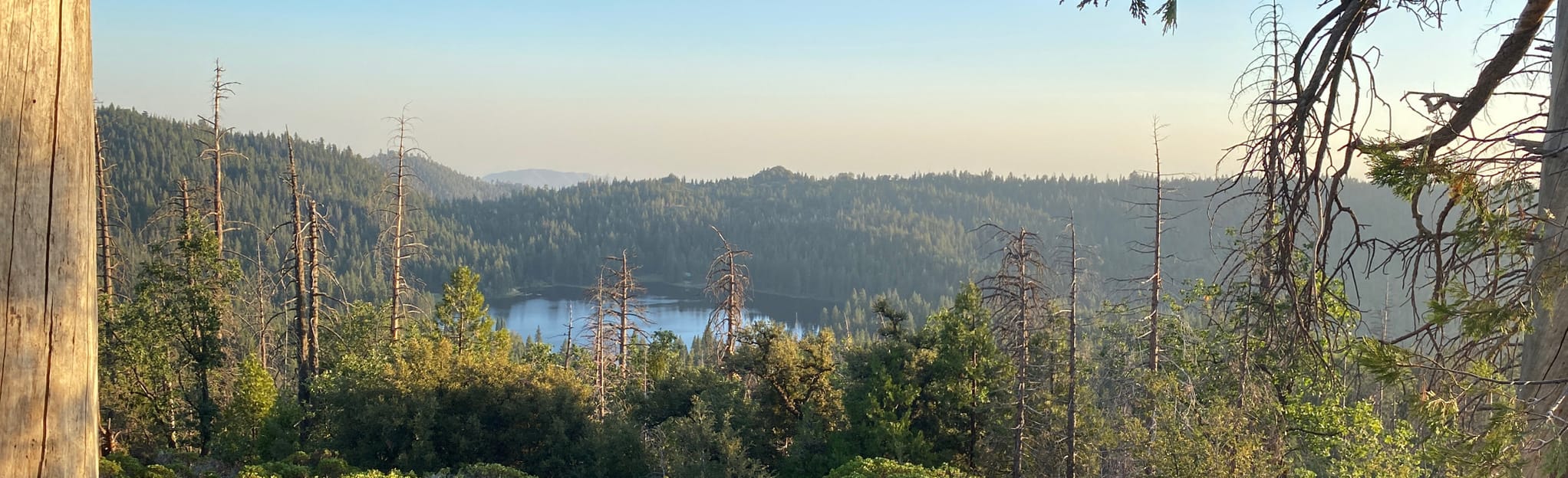 Sequoia Lake Overlook via North Grove and Dead Giant Loop Trail 713