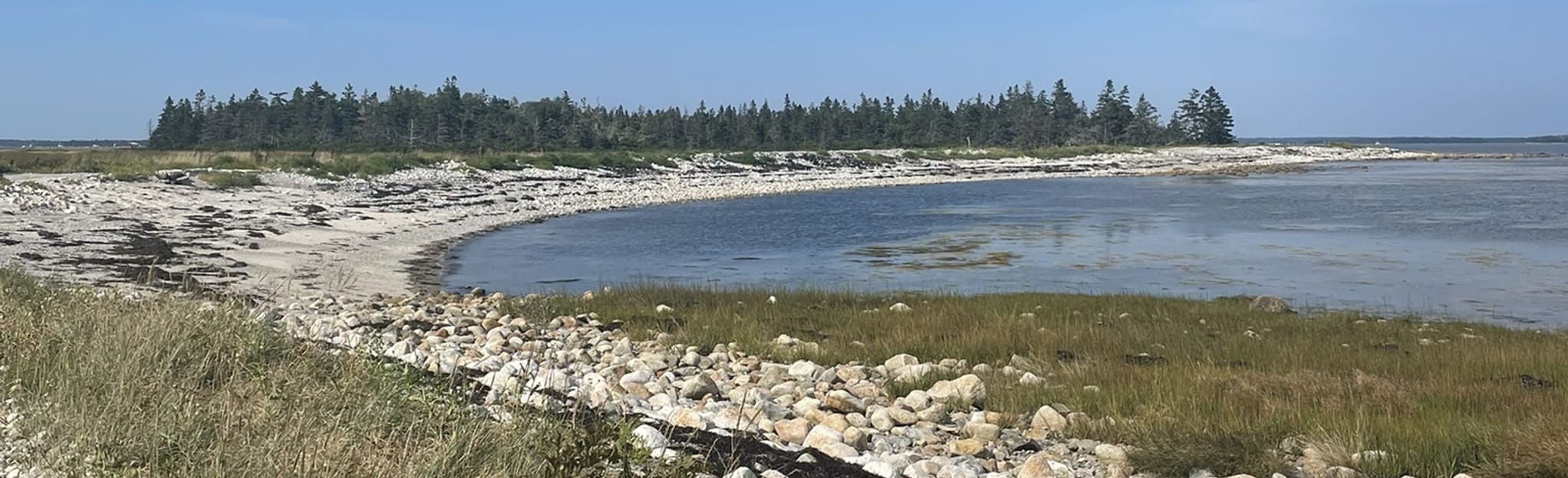 Wedgeport Nature Trail, Nova Scotia, Canada 13 Reviews, Map AllTrails