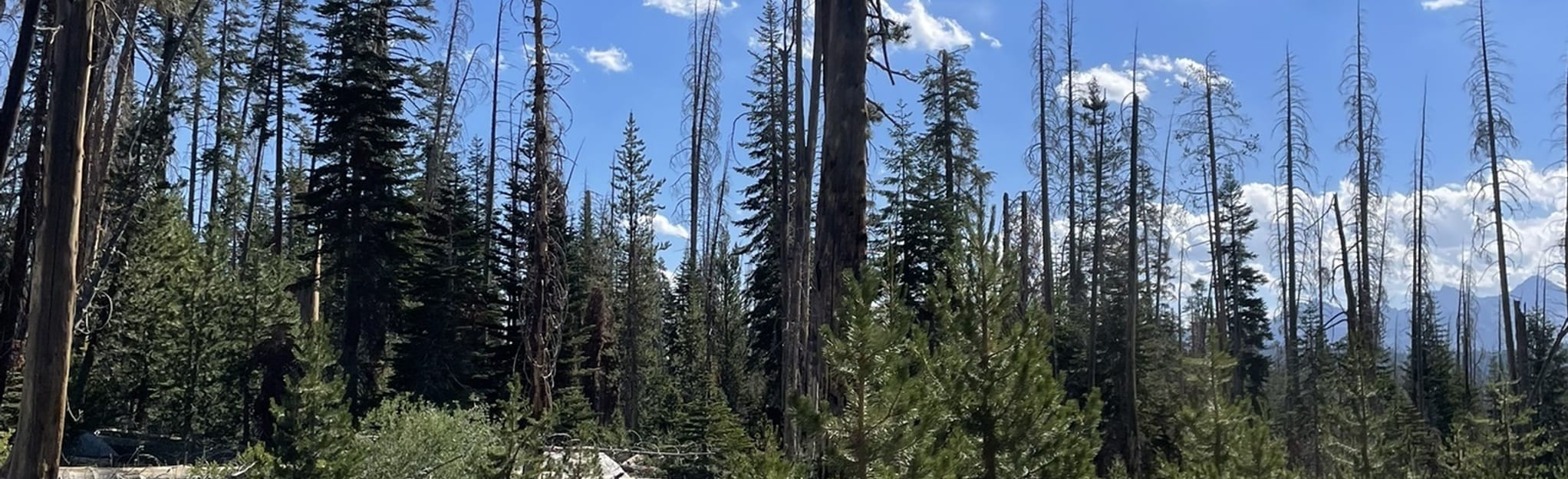 Lost Lake Trail [CLOSED] 5 Reviews, Map California AllTrails