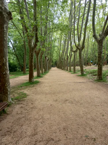Font de Sant Salvador - hikes and trails to get you there | AllTrails