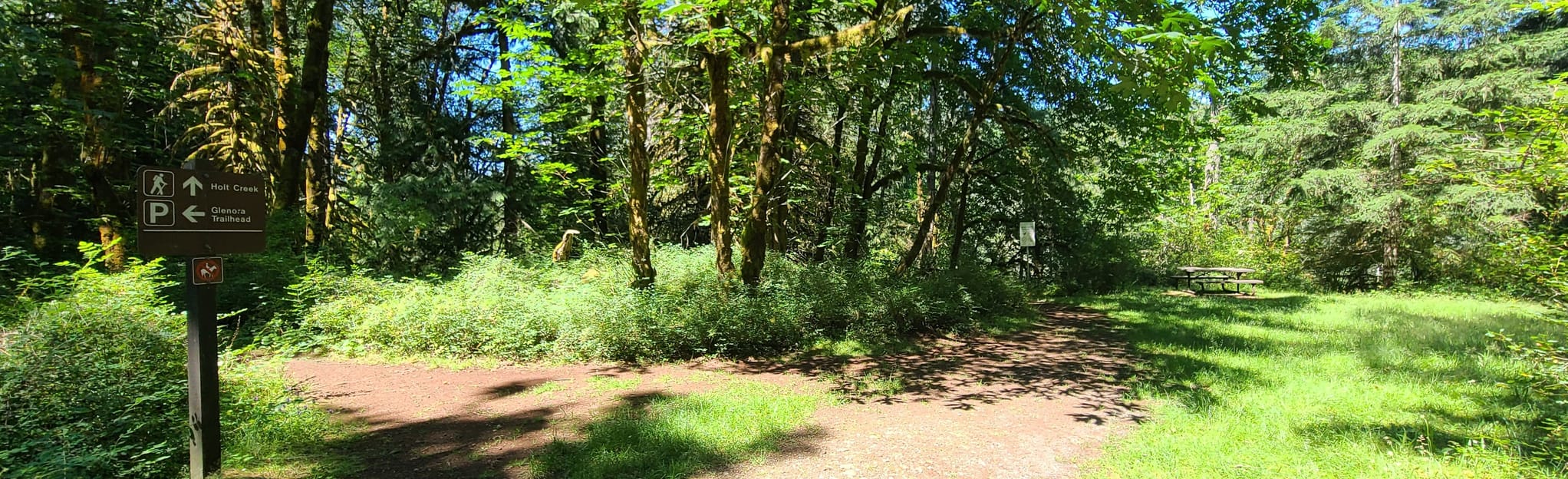Glenora Trails Head Park to Cowichan River Loop, British Columbia