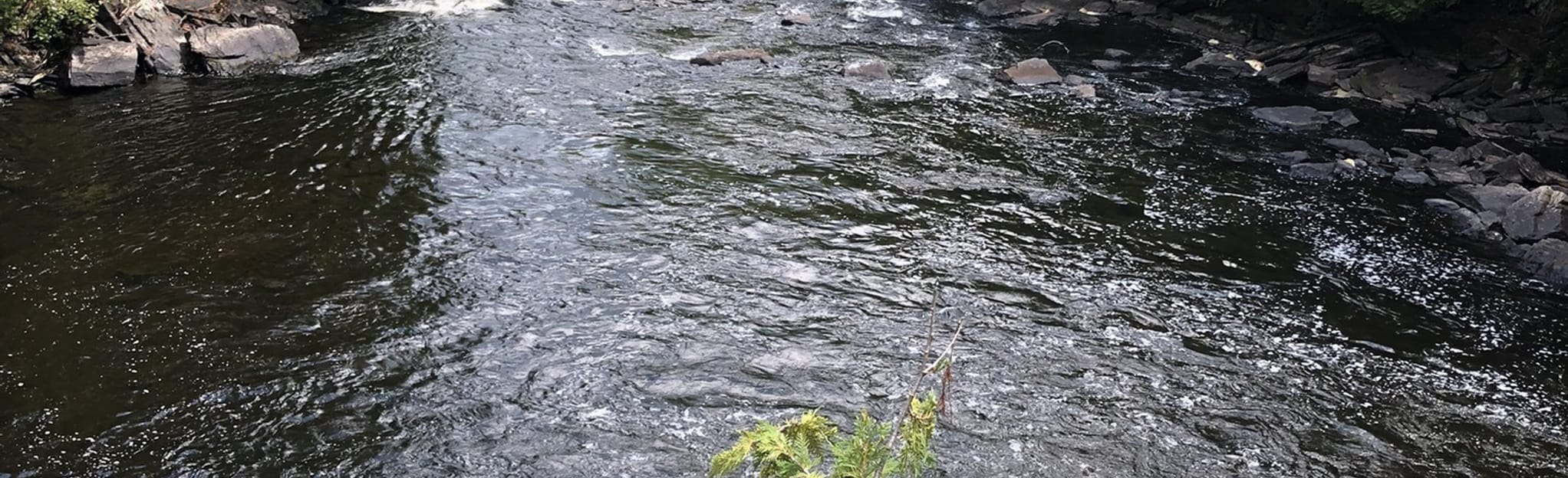 LaSalle Falls, Wisconsin 101 Reviews, Map AllTrails