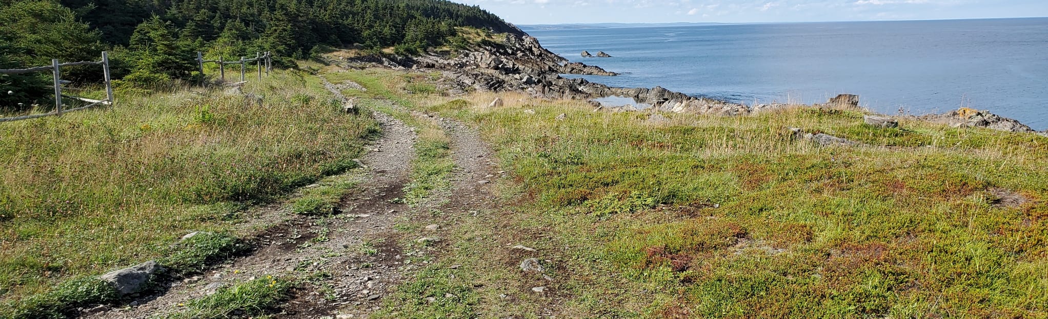 Bacon Cove, Newfoundland and Labrador, Canada 5 Reviews, Map AllTrails