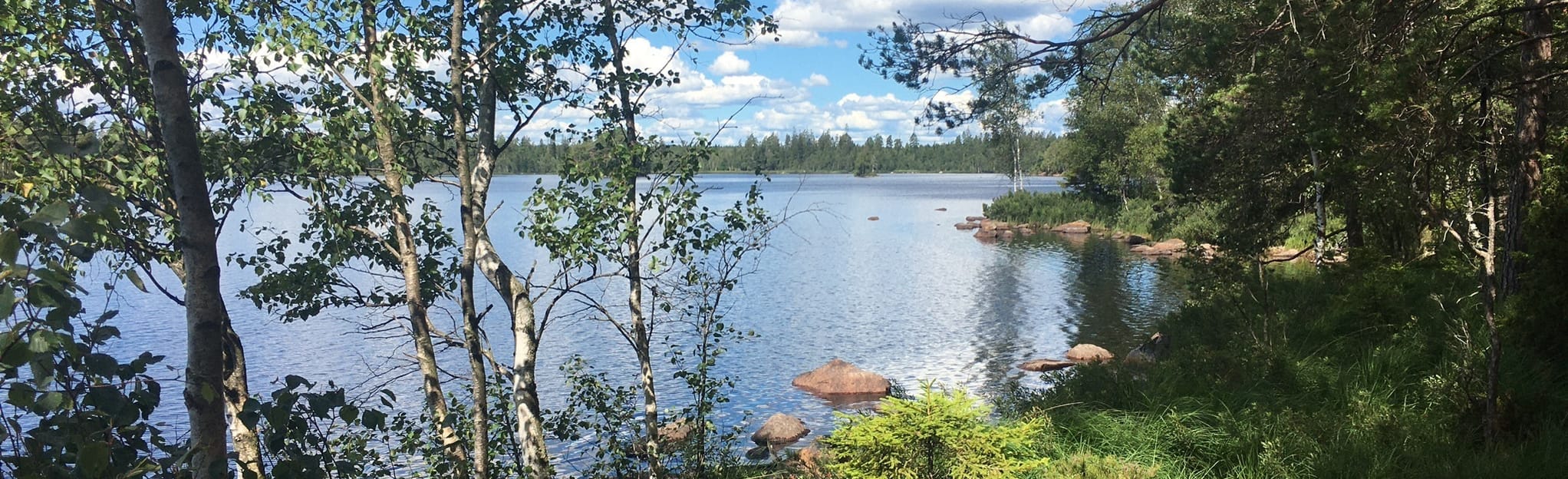 Stora Visjön Loop, Kronoberg, Sweden - 12 Reviews, Map | AllTrails