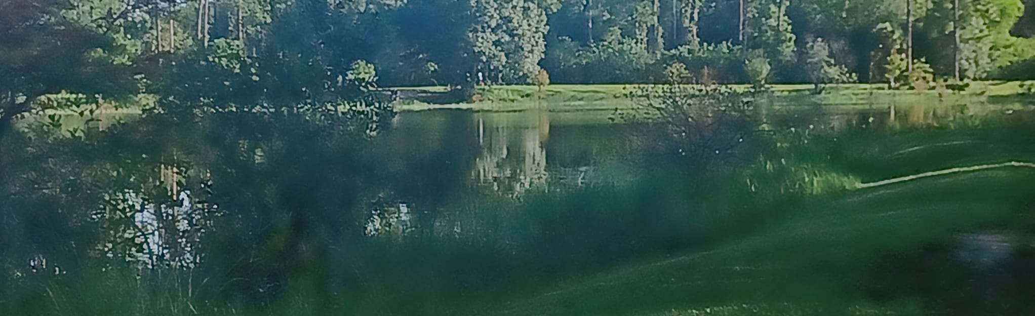 Buckingham Community Park Loop - EyJidWNrZXQiOiJhc3NldHMuYWxsdHJhaWxzLmNvbSIsImtleSI6InVwbG9hZHMvcGhvdG8vaW1hZ2UvNTAwMjk3MTQvOGFmOGVmNTJmNzcyMmQ3ZjYxM2RlN2RiZjNlNmRmNDAuanBnIiwiZWRpdHMiOnsidG9Gb3JtYXQiOiJqcGVnIiwicmVzaXplIjp7IndpZHRoIjoyMDQ0LCJoZWlnaHQiOjYyNCwiZml0IjoiY292ZXIifSwicm90YXRlIjpudWxsLCJqcGVnIjp7InRyZWxsaXNRdWFudGlzYXRpb24iOnRydWUsIm92ZXJzaG9vdERlcmluZ2luZyI6dHJ1ZSwib3B0aW1pc2VTY2FucyI6dHJ1ZSwicXVhbnRpc2F0aW9uVGFibGUiOjN9fX0=