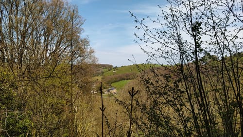 Eiserfey - Kakushöhle - Vussem Rundweg