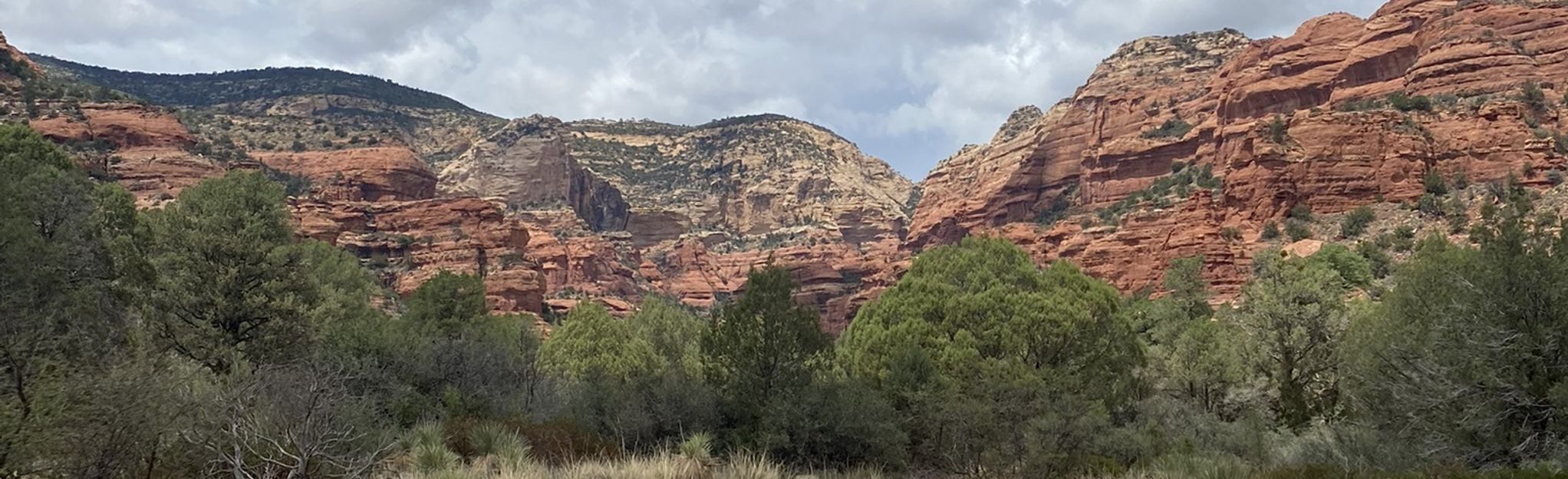 Fay Canyon Trail: 7,320 Reviews, Map - Arizona | AllTrails