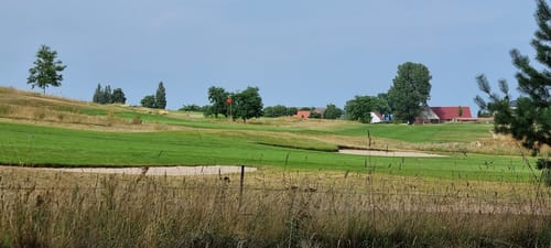 In den Borgwald bei Mellenthin