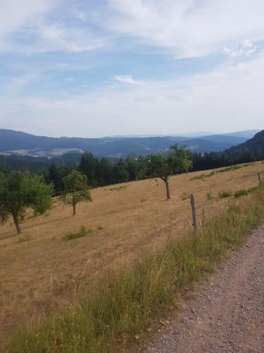 Hahn-und-Henne-Runde (Genießerpfad)