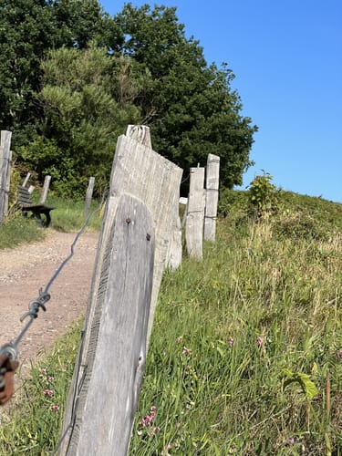 Sierksdorfer Steilküste