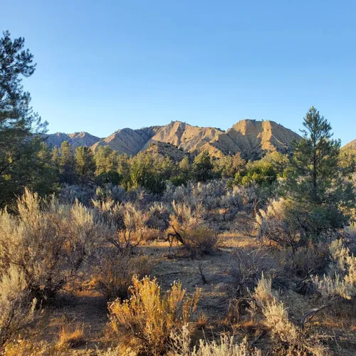 Best Off Road Driving Trails in Ojai AllTrails