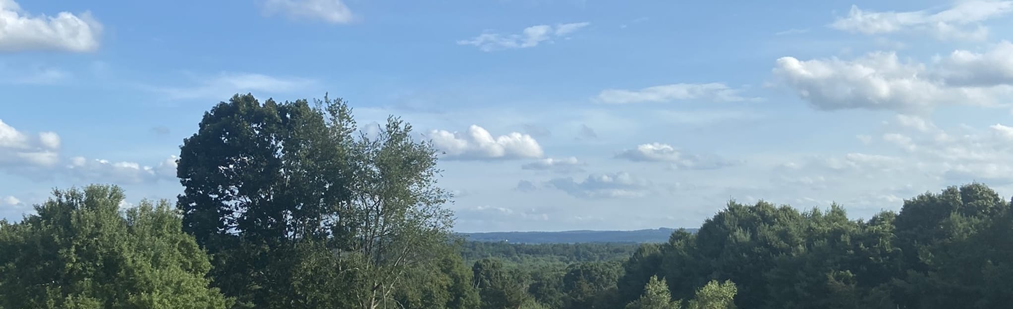 Talbot, Cedar Hill, Plantation, and Crane Swamp Trails Loop