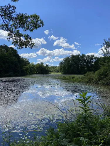 Best Short Trails in Rose Lake State Wildlife Area | AllTrails