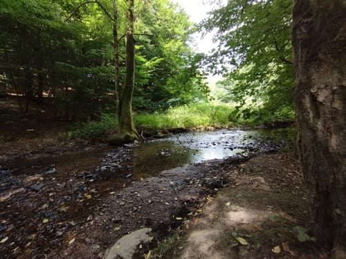 Um den Atzelberg