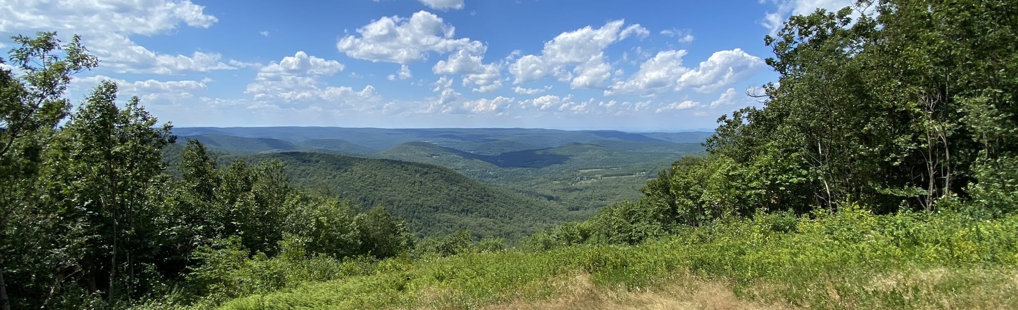 Birch Brook Trail via Taconic Crest Trail 12 Reviews, Map New York