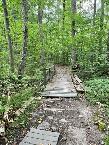 Best Hikes and Trails in James Baird State Park | AllTrails