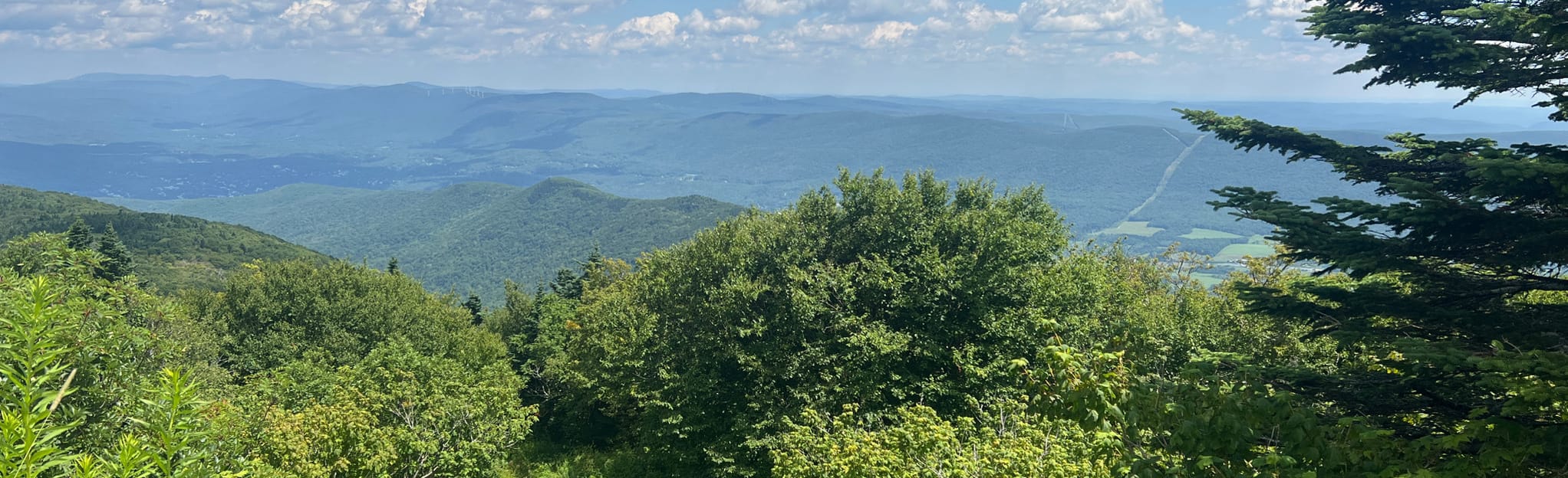 Appalachian Trail to Old Summit Trail Loop 90 Reviews, Map