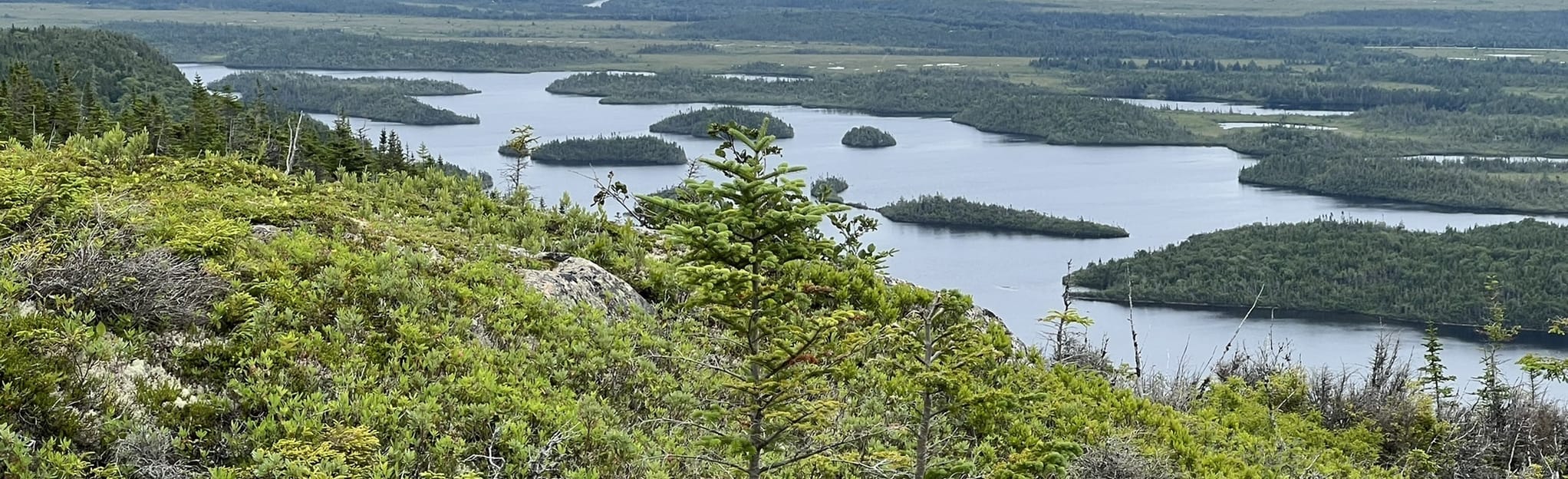 Scott Pollard Memorial Trail 13 Reviews, Map Newfoundland and