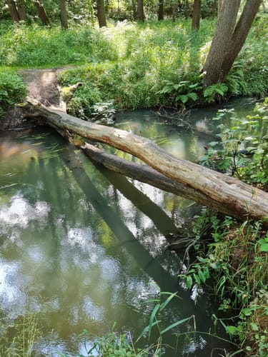 Naherholungsgebiet Eibia/Lohheide ab Cordinger Mühle