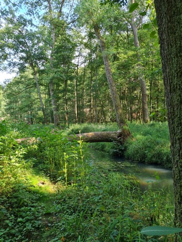 Naherholungsgebiet Eibia/Lohheide ab Cordinger Mühle