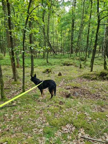 Naherholungsgebiet Eibia/Lohheide ab Cordinger Mühle