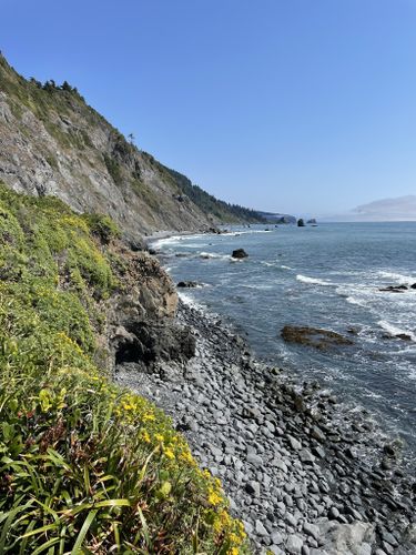 del norte coast redwoods state park