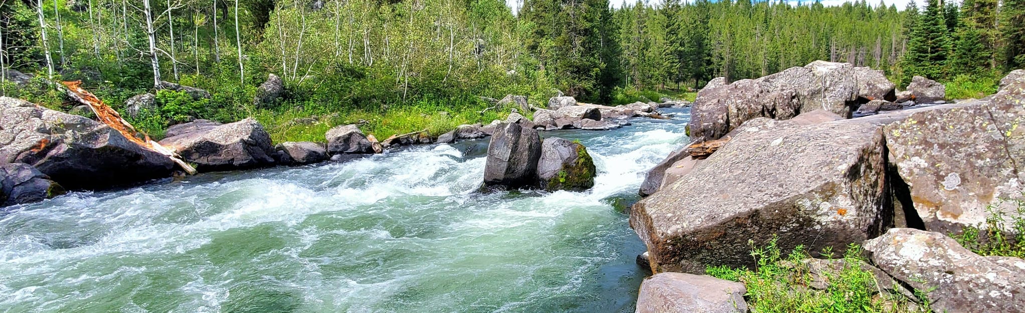 Coffee Pot Rapids Trail, Idaho 167 Reviews, Map AllTrails