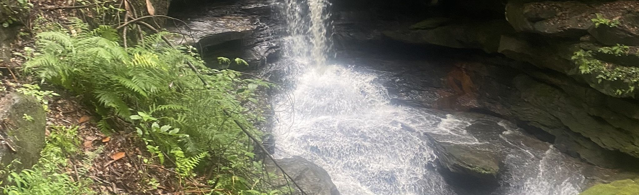 Jenny Wiley Falls : 47 Reviews, Map - Kentucky | AllTrails