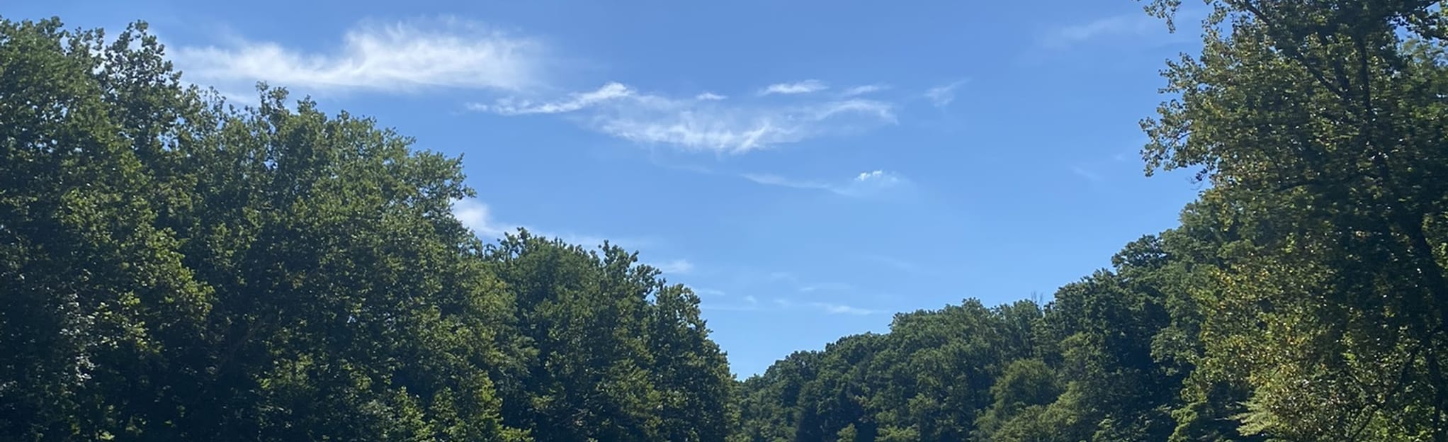 AllTrails Tyler Drive Trail - EyJidWNrZXQiOiJhc3NldHMuYWxsdHJhaWxzLmNvbSIsImtleSI6InVwbG9hZHMvcGhvdG8vaW1hZ2UvNTAxMDE2MTEvYzBiZGVkZGFkYzllYmYyMzk5NTk1ZDYxNGFkODZmYzEuanBnIiwiZWRpdHMiOnsidG9Gb3JtYXQiOiJqcGVnIiwicmVzaXplIjp7IndpZHRoIjoyMDQ0LCJoZWlnaHQiOjYyNCwiZml0IjoiY292ZXIifSwicm90YXRlIjpudWxsLCJqcGVnIjp7InRyZWxsaXNRdWFudGlzYXRpb24iOnRydWUsIm92ZXJzaG9vdERlcmluZ2luZyI6dHJ1ZSwib3B0aW1pc2VTY2FucyI6dHJ1ZSwicXVhbnRpc2F0aW9uVGFibGUiOjN9fX0=