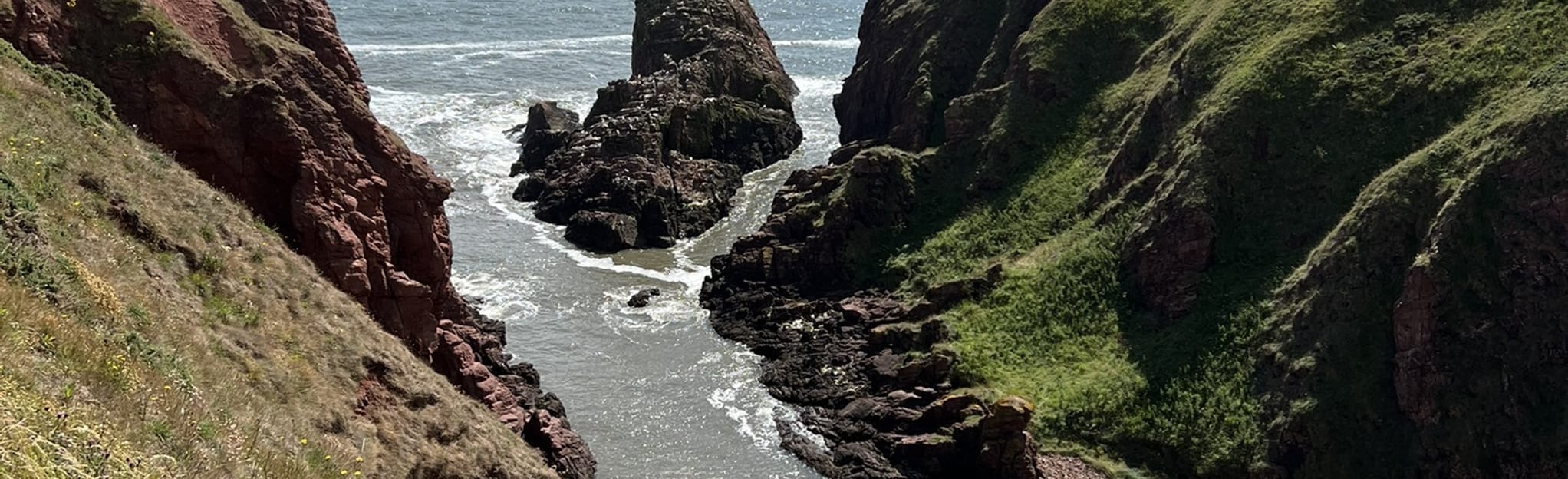 Arbroath Cliff Walk 74 Reviews, Map Angus, Scotland AllTrails