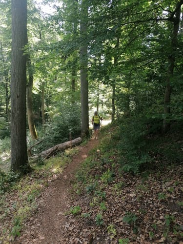 Wendelinusweg bei Immerath (HeimatSpur)