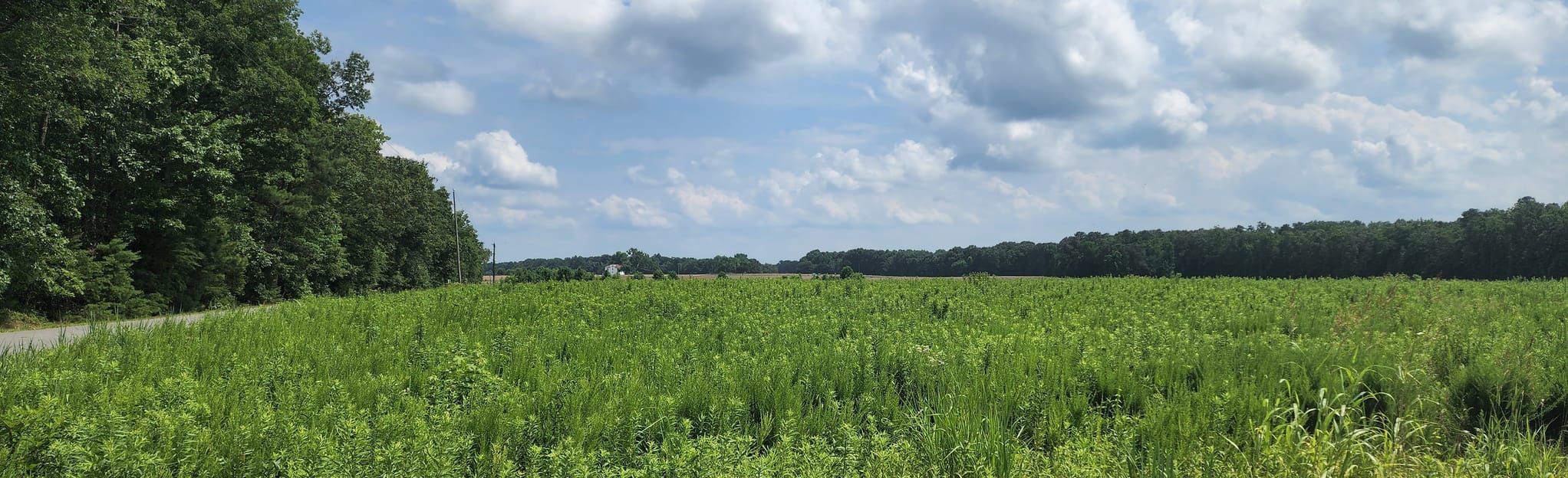 Malvern Hill Battlefield Quick Loop Map, Guide Virginia AllTrails