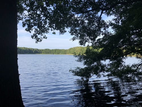 Rund um den Weißen See