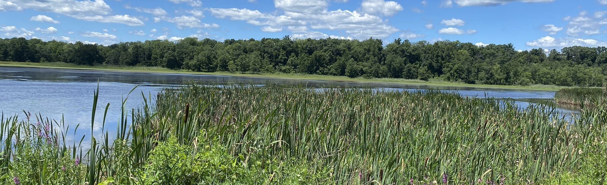 Paulinskill Valley and Sussex Branch Marsh Trail Loop, New Jersey - 101 ...