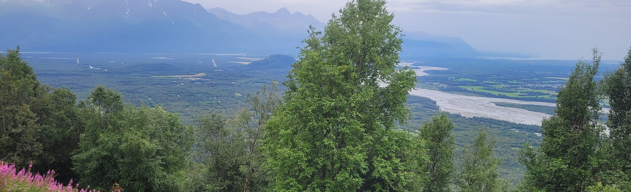 Lazy Mountain Trail, Alaska 1,001 Reviews, Map AllTrails