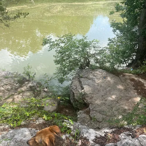 Best Hikes and Trails in East Fork Recreation Area AllTrails