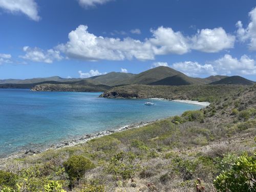 10 Best Hikes and Trails in Virgin Islands National Park | AllTrails