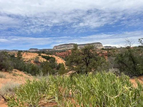 10 Best Trails and Hikes in Kanab | AllTrails