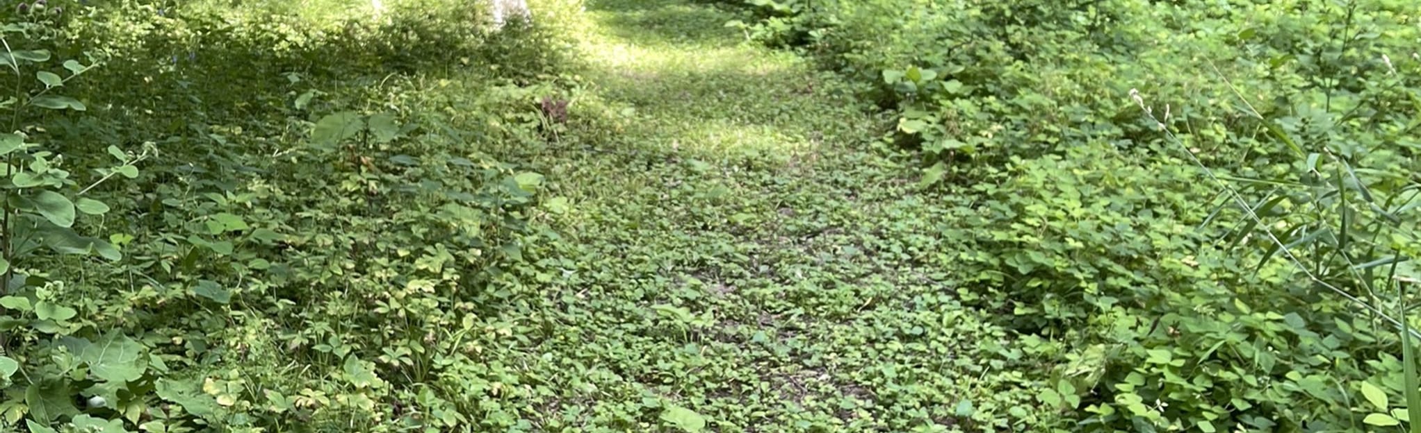 Union Grove Lake Upper Loop 18 Reviews, Map Iowa AllTrails