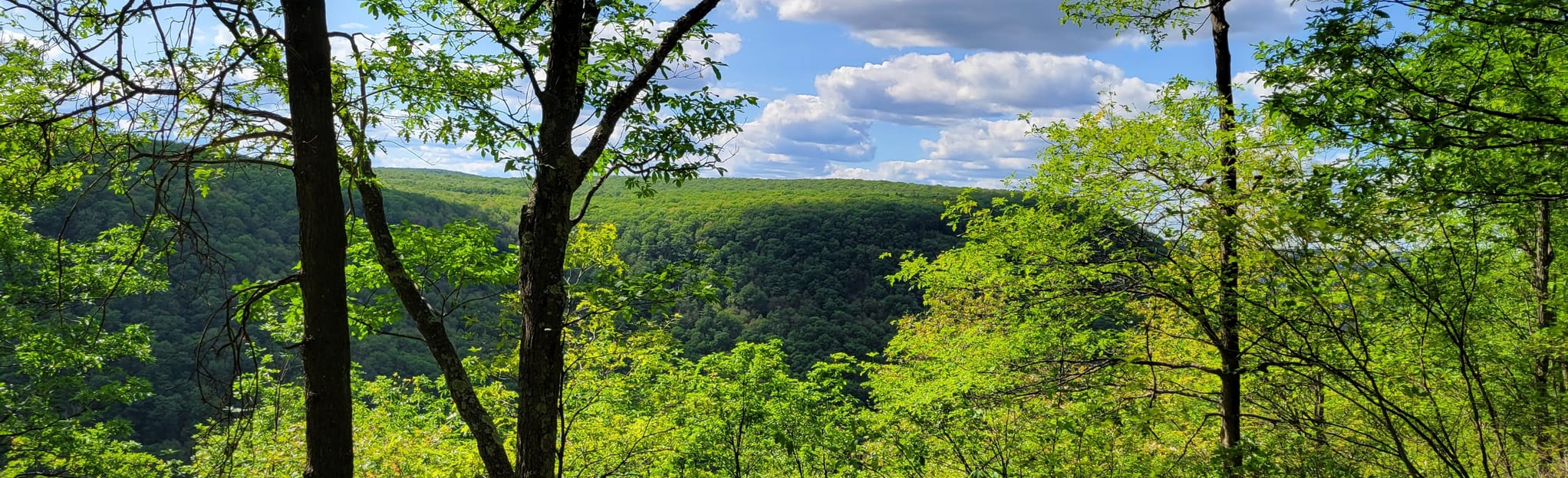 Thousand Step to MidState Trail 153 Reviews, Map Pennsylvania